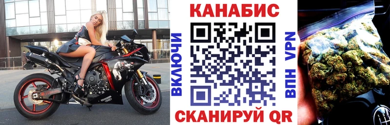 где купить наркоту  Луга  МАРИХУАНА конопля 